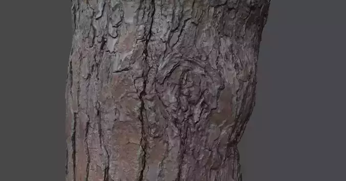Pinetreetrunk02 tree stump