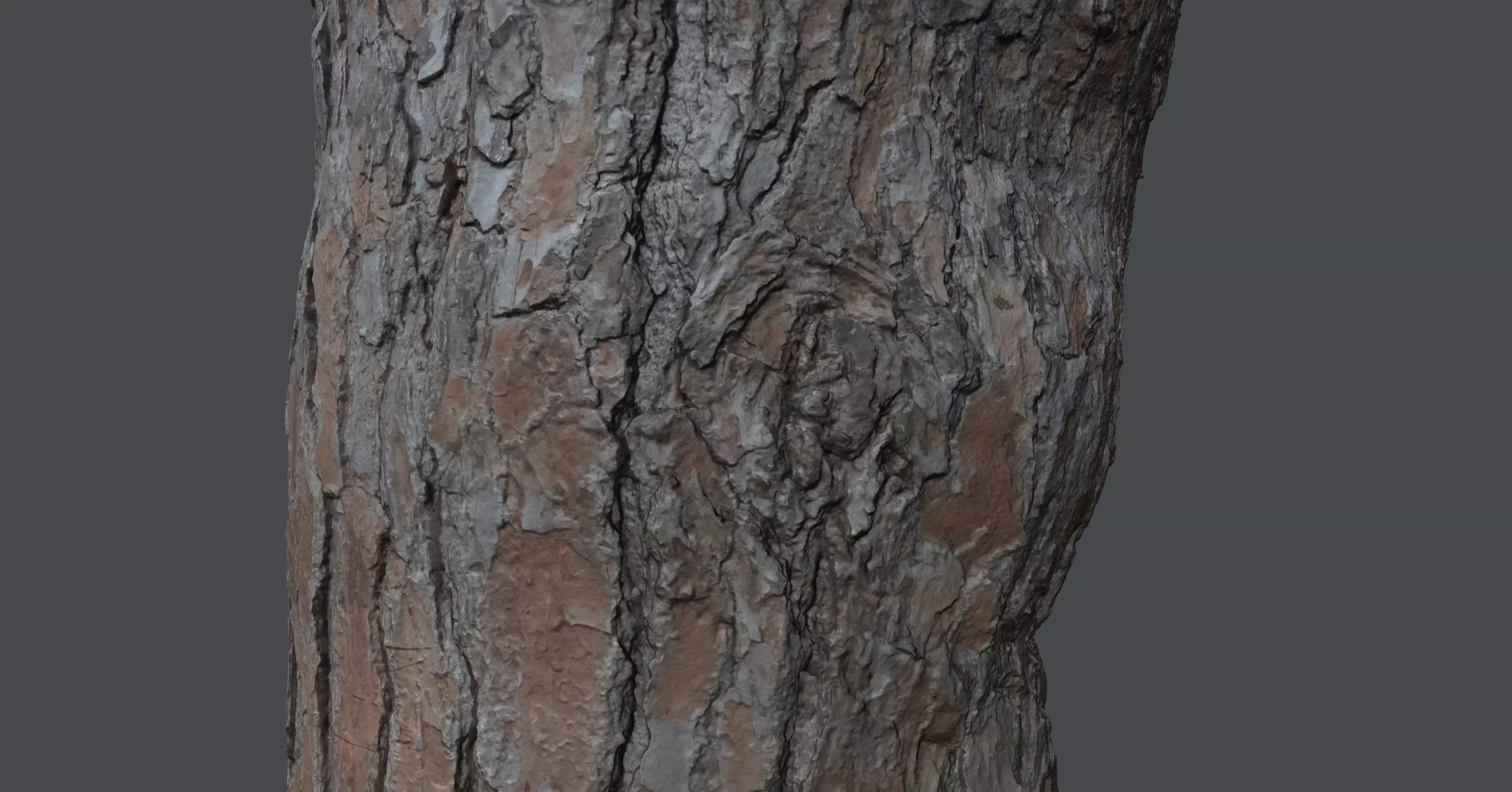 Pinetreetrunk02 tree stump 3D model_0