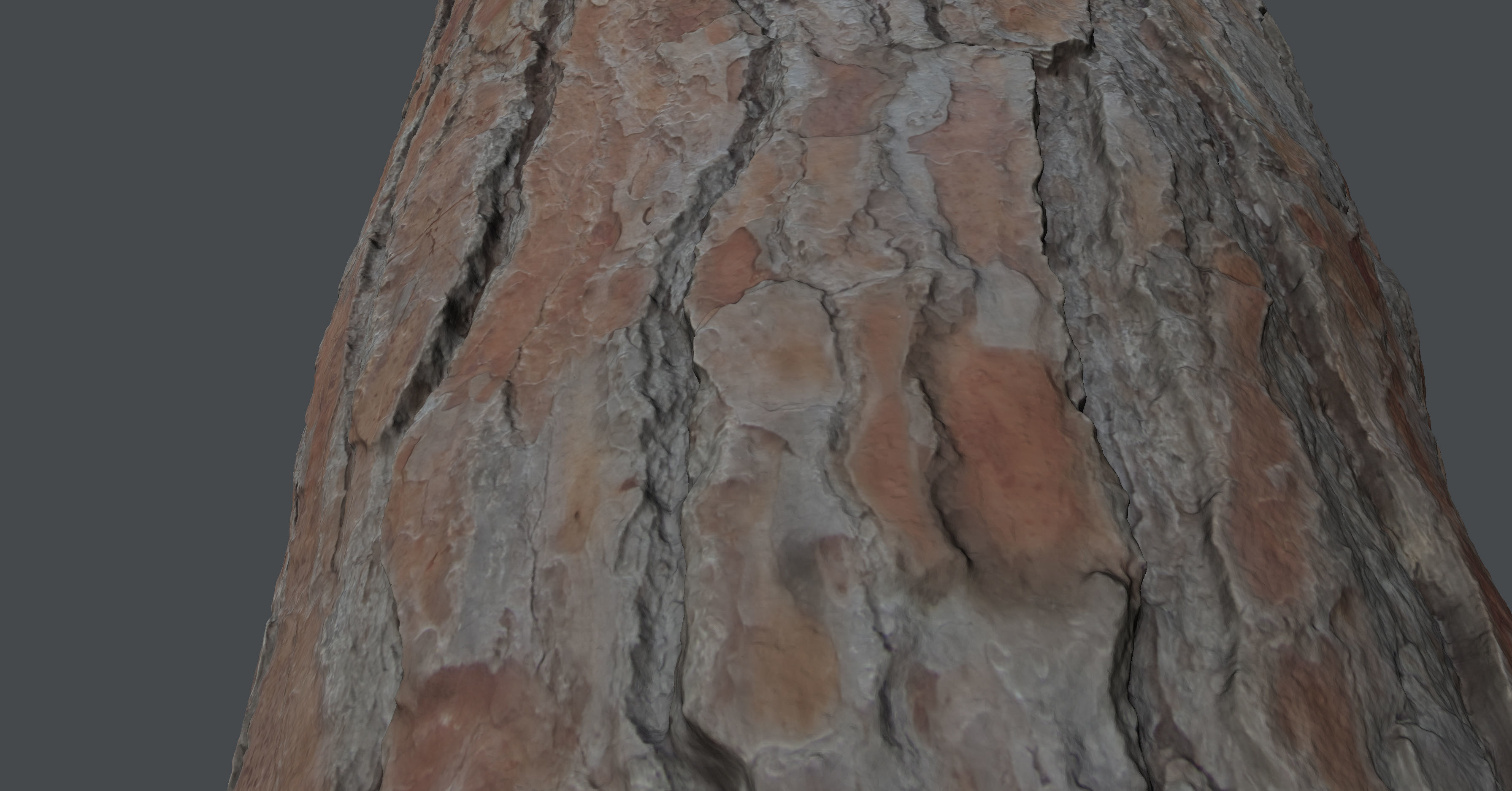 Pinetreetrunk02 tree stump 3D model_9