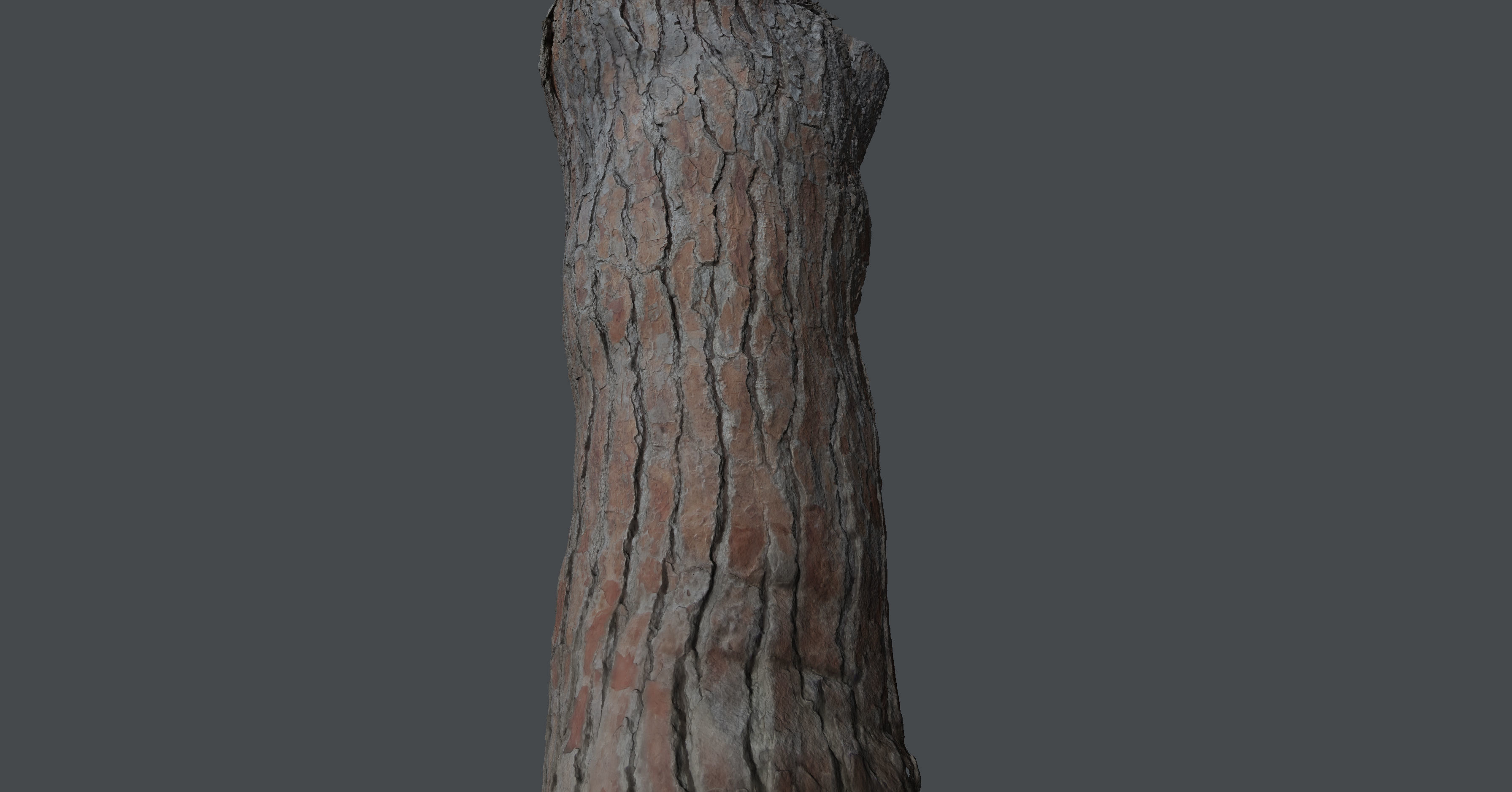 Pinetreetrunk02 tree stump 3D model_8