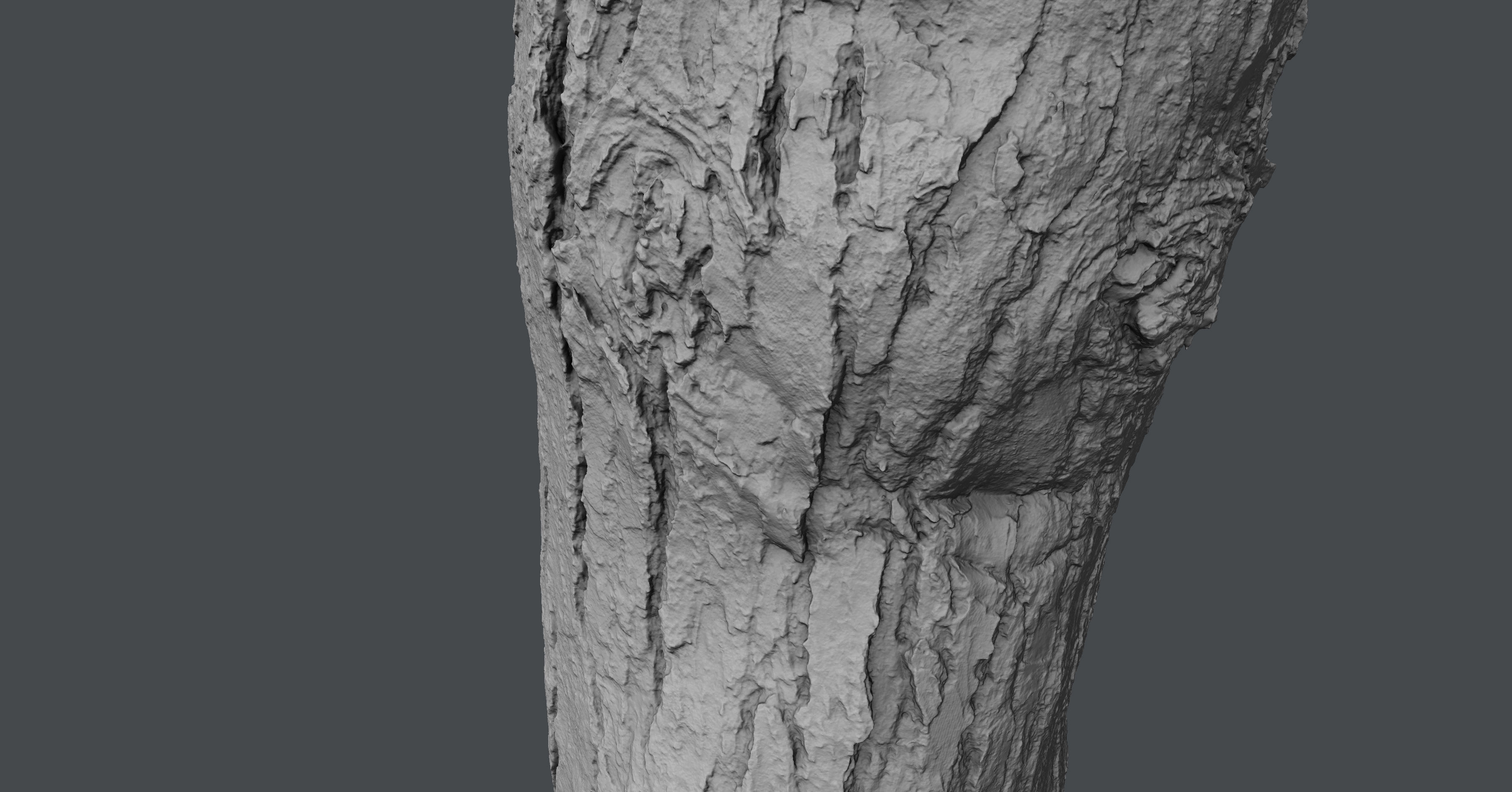Pinetreetrunk02 tree stump 3D model_5