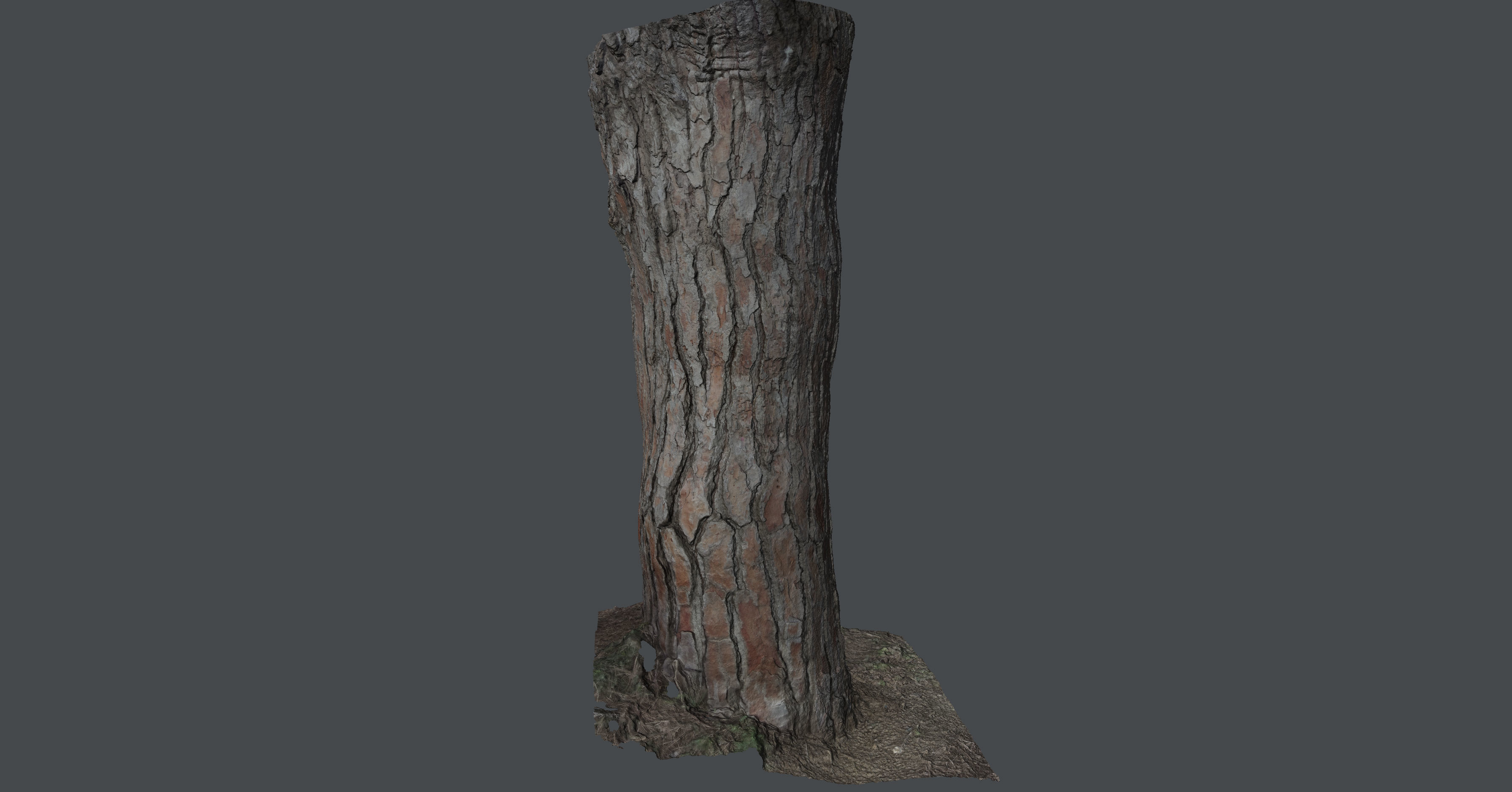 Pinetreetrunk02 tree stump 3D model_11
