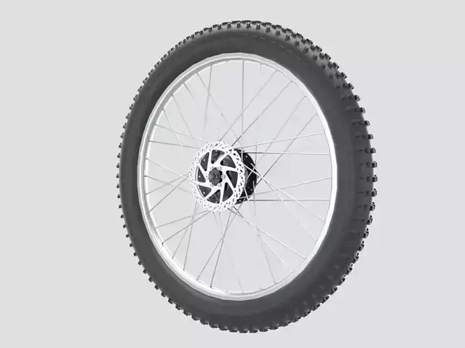 Bicycle Rear Wheel 3D model