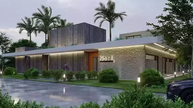 MODERN HOUSE 
