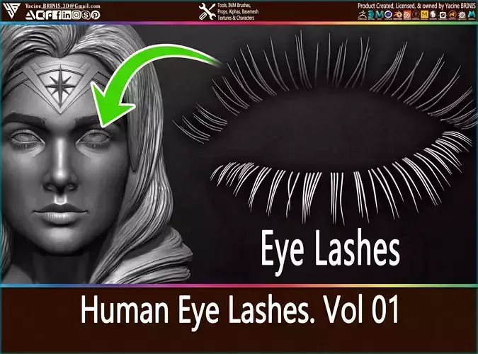 Human Eye Lashes Vol 01 Low-poly 3D model