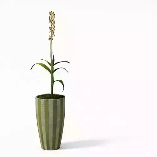 Green Striped Potted Decorative Houseplant