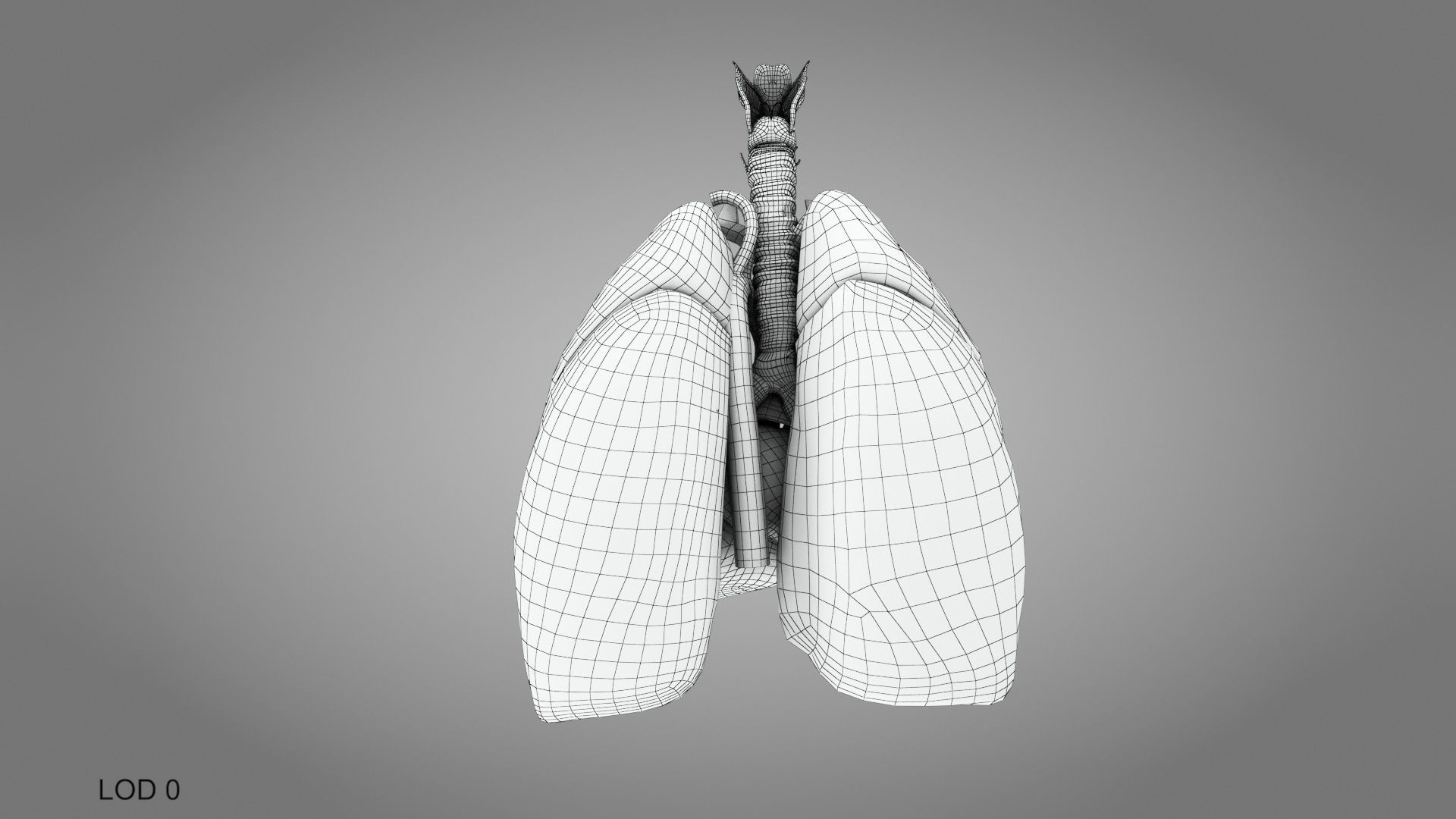 Lungs and Heart System Low-poly 3D model_37