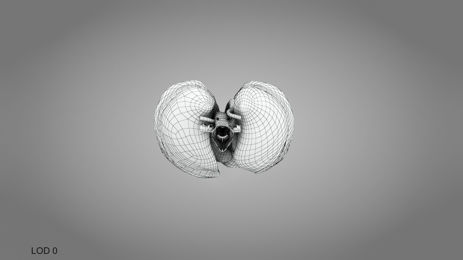 Lungs and Heart System Low-poly 3D model_31