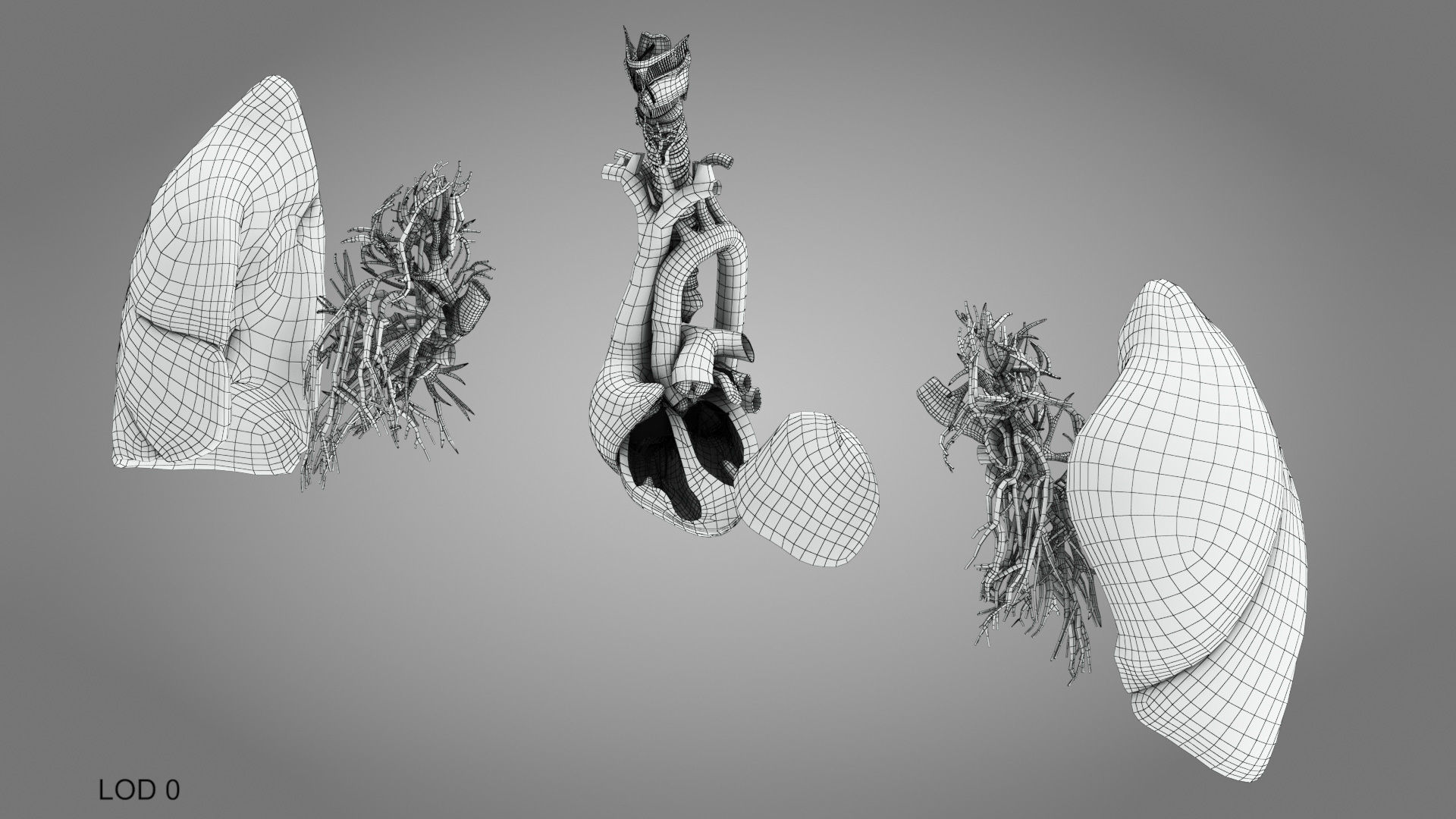 Lungs and Heart System Low-poly 3D model_23