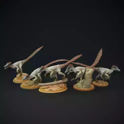  Velociraptor pack 3D print model