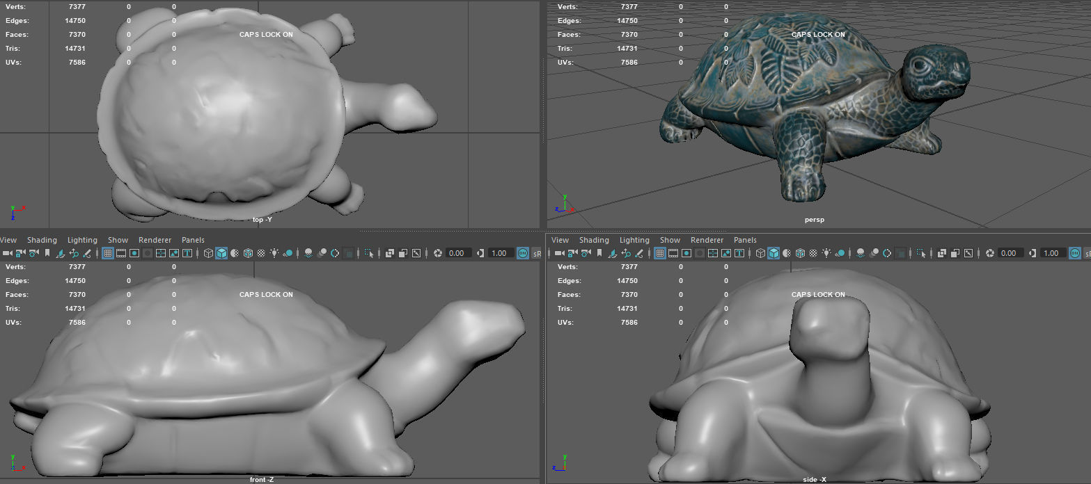 GARDEN TURTLE Low-poly 3D model_18