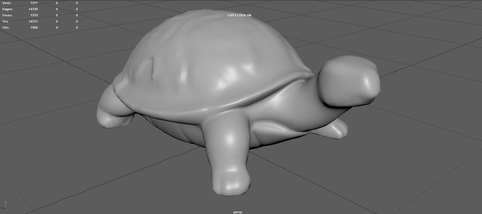 GARDEN TURTLE Low-poly 3D model_13
