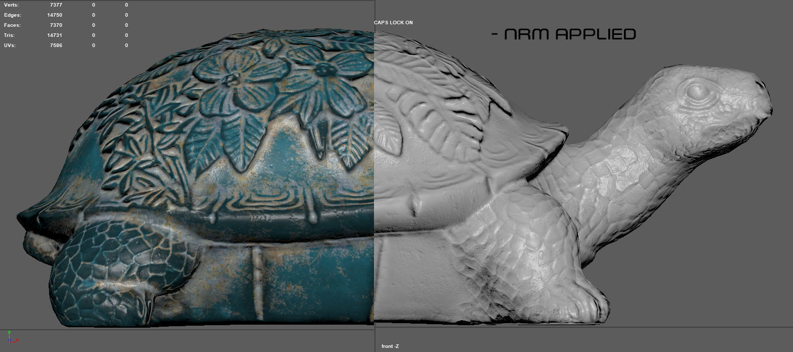 GARDEN TURTLE Low-poly 3D model_12