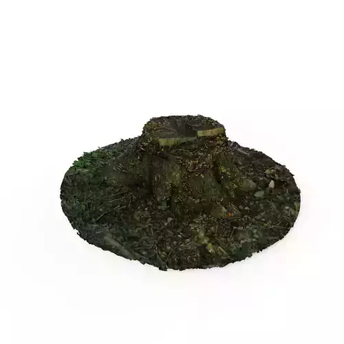 Forest Tree Stump 4K -Part 5-