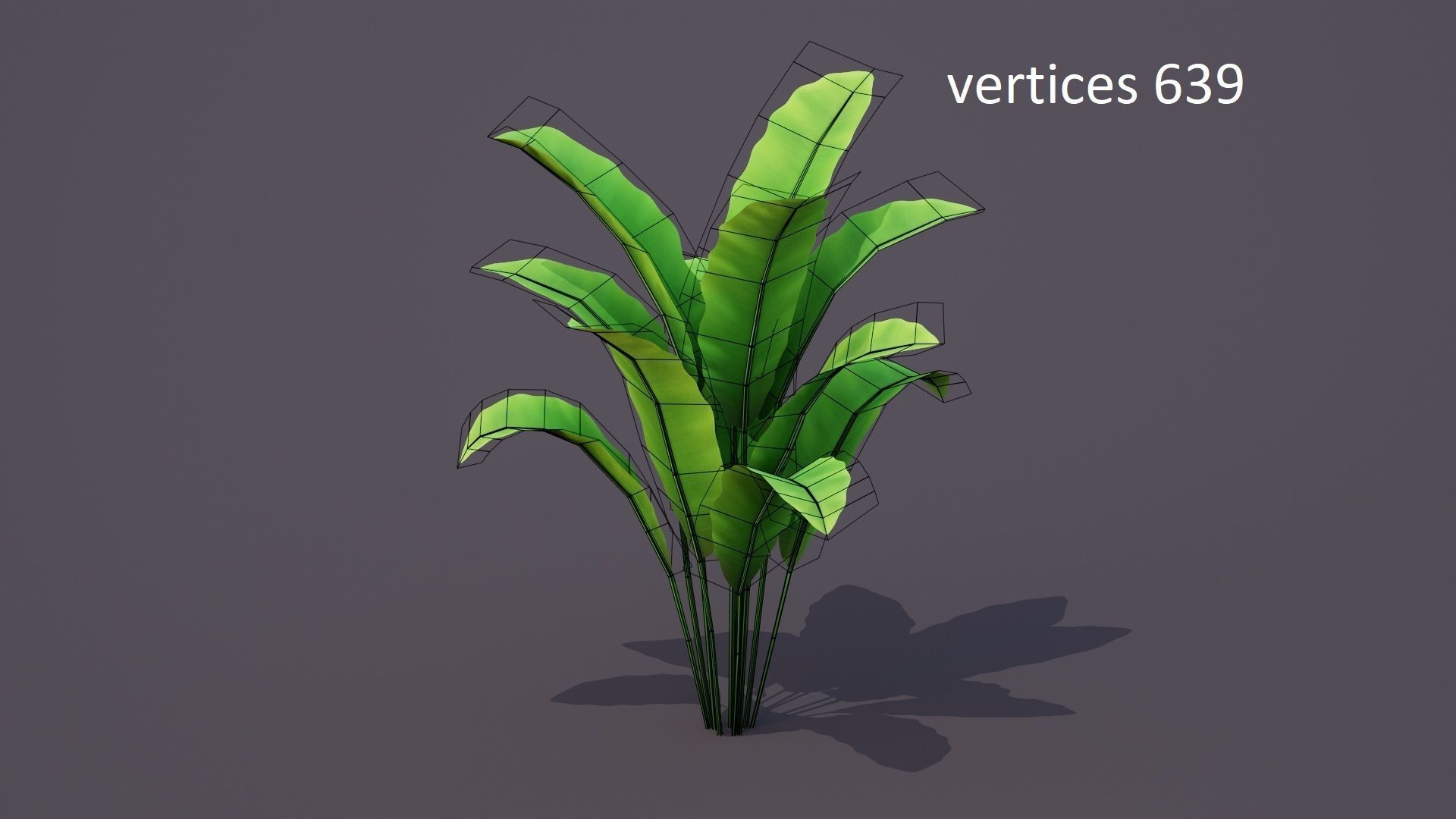 Banana Tree Plant Low-poly 3D model_5
