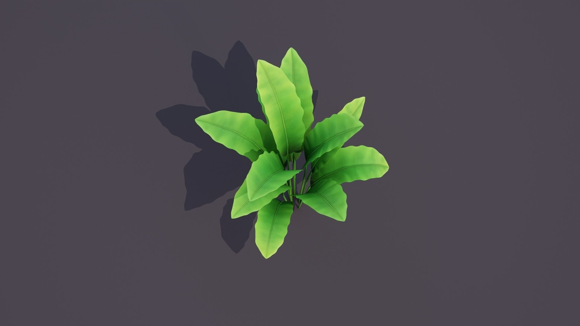 Banana Tree Plant Low-poly 3D model_3