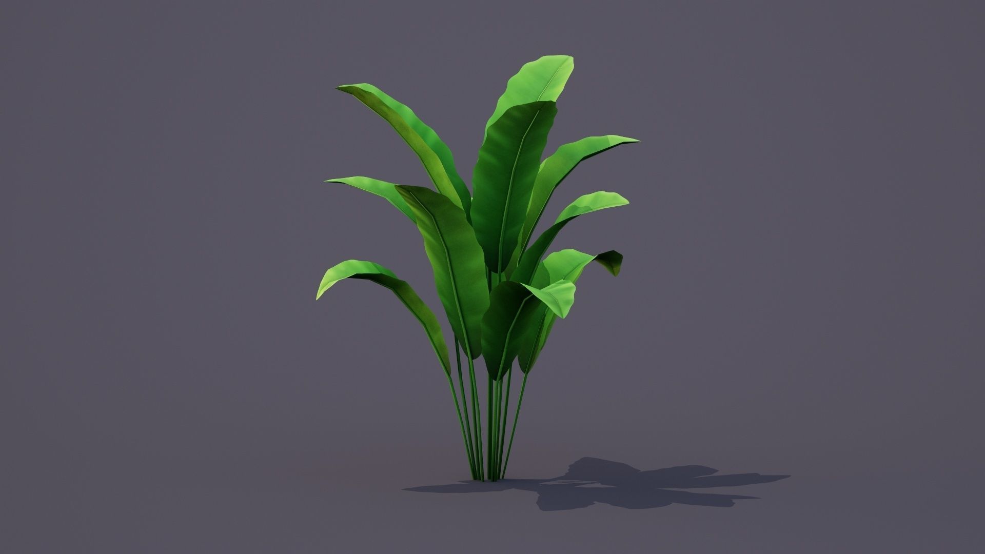 Banana Tree Plant Low-poly 3D model_2