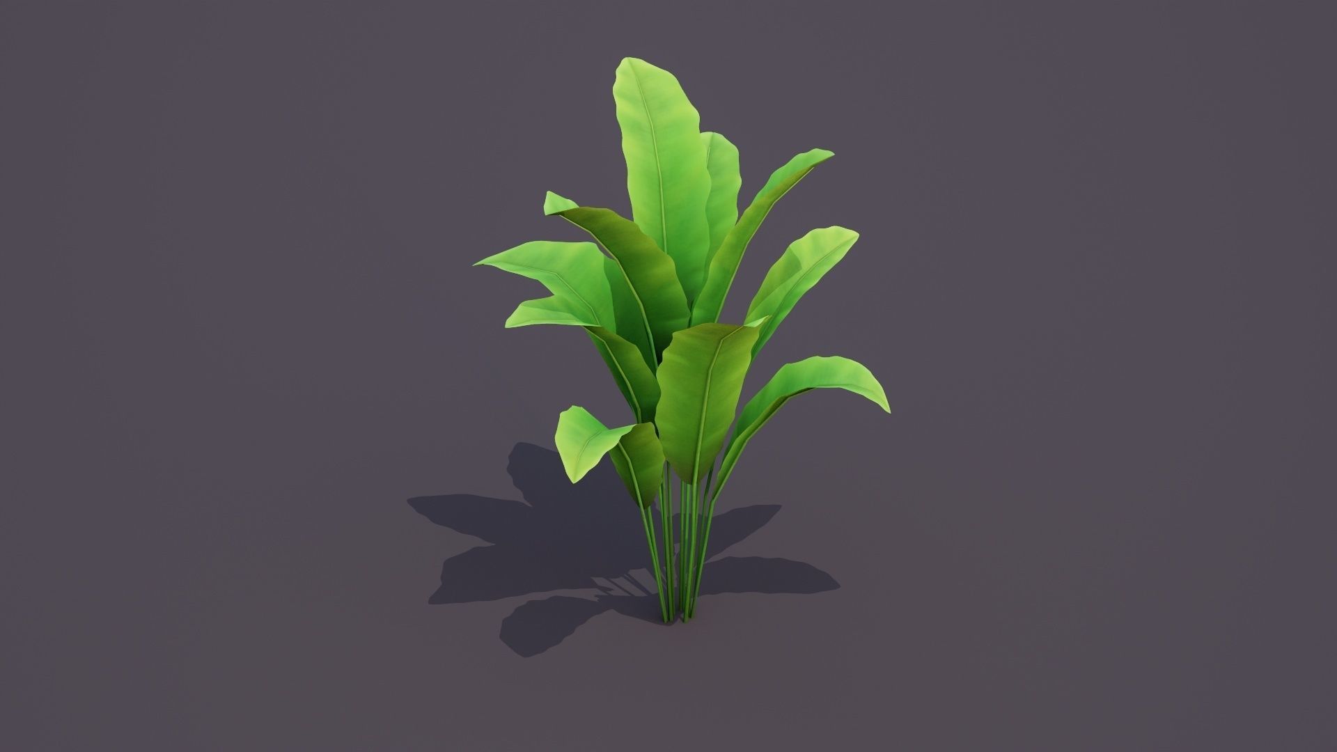 Banana Tree Plant Low-poly 3D model_1