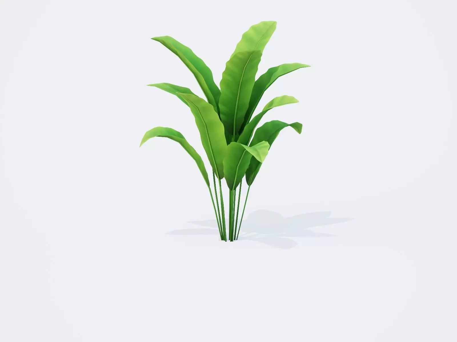 Banana Tree Plant Low-poly 3D model_0