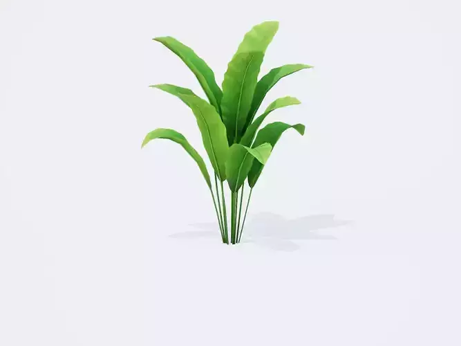 Banana Tree Plant Low-poly 3D model