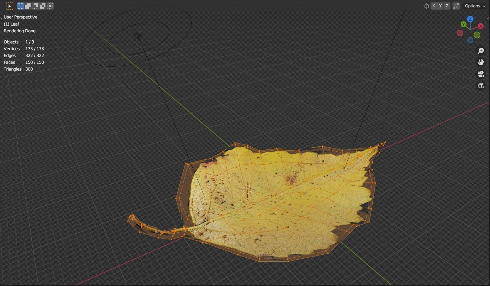 Yellow Leaf Birch 3D model_4