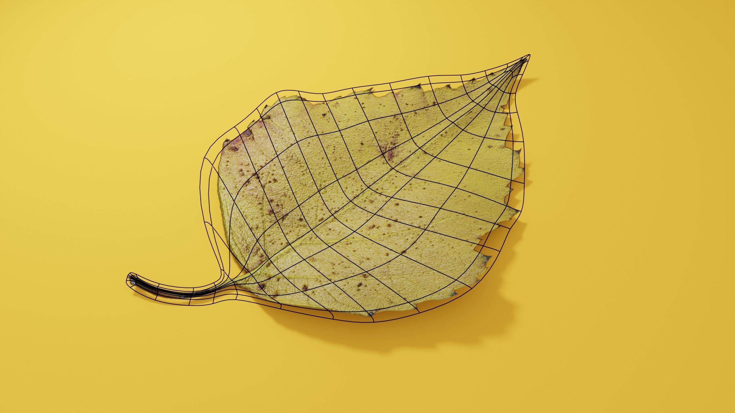 Yellow Leaf Birch 3D model_1
