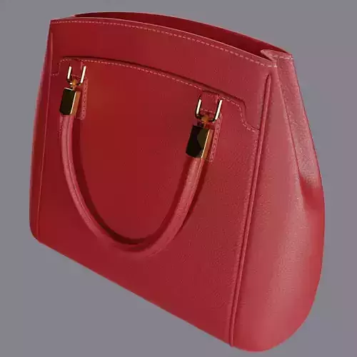 Womens designer handbag