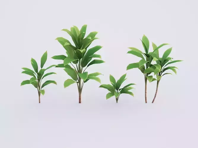 CordylineFruticosa Color3