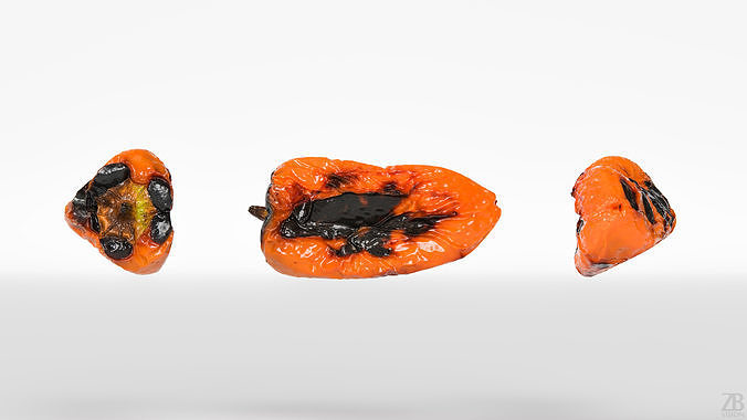 Paprika 3D model 5