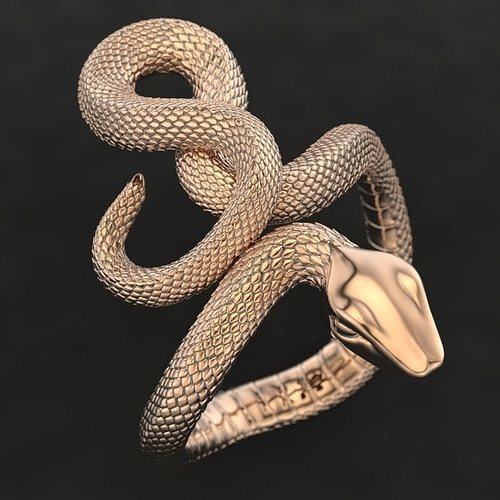 Snake Ring 3D print model