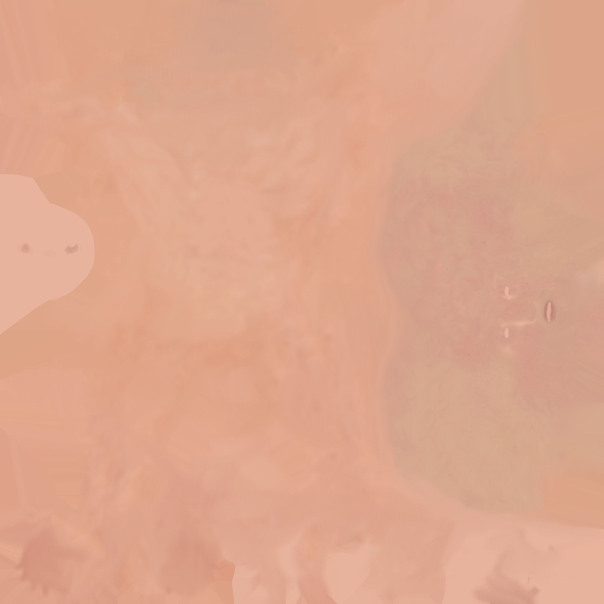 Realistic Child rigged Low-poly 3D model_27