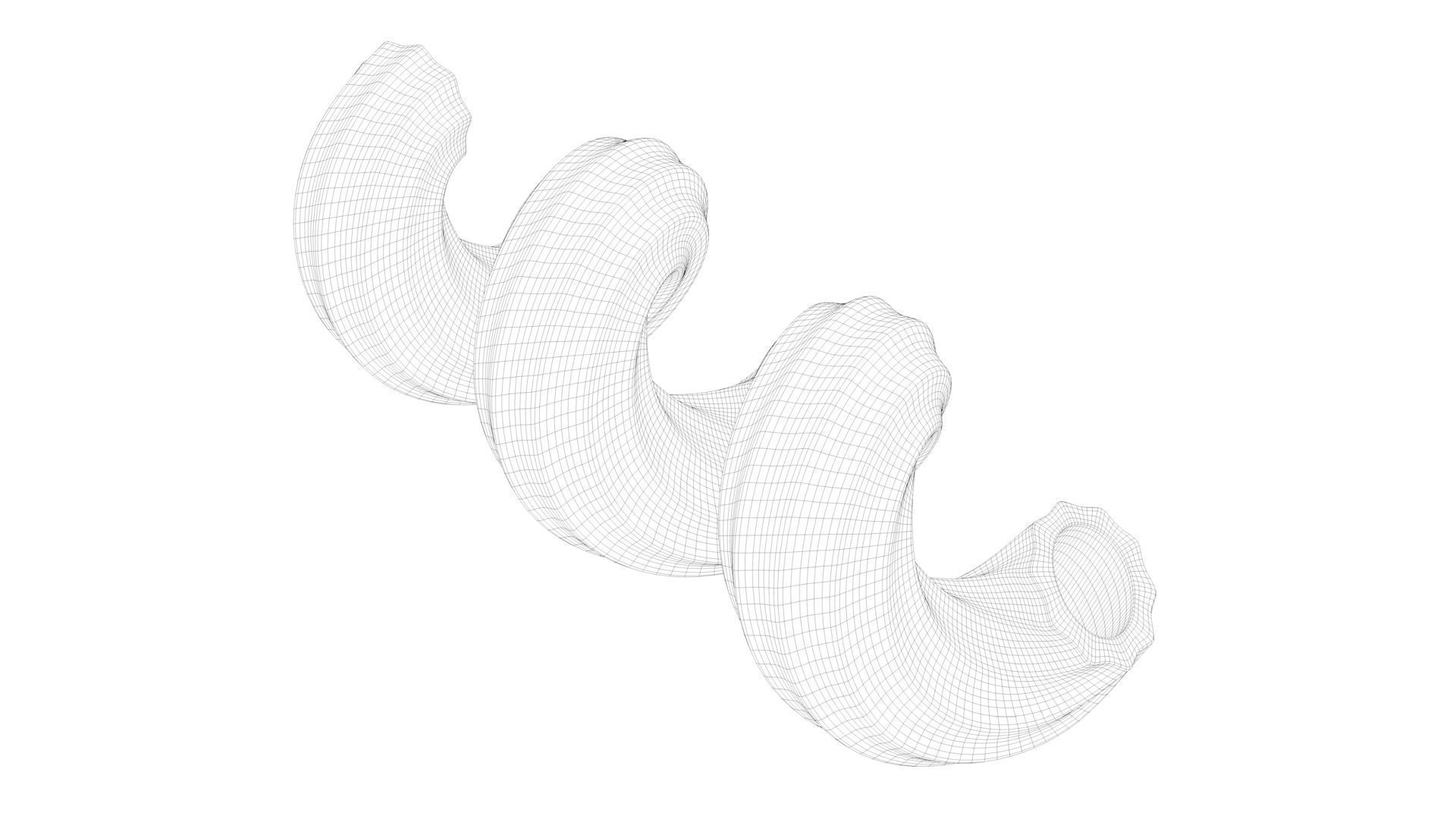 Pasta Cavatappi macaroni 3D model_3