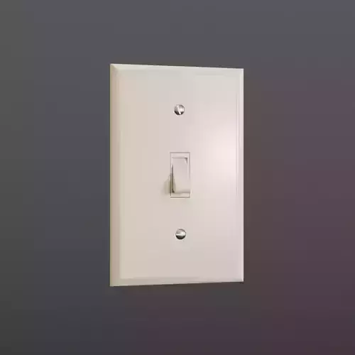 Wall Switch Light