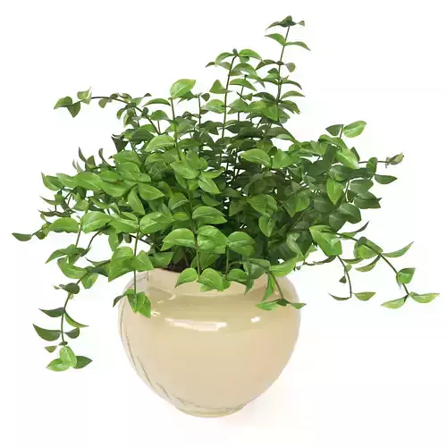 Ceramic plant pot Marioni Lab