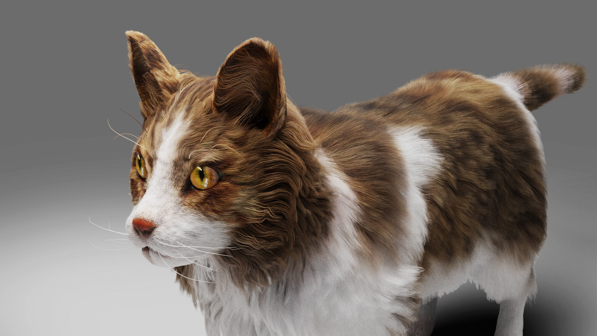 Fur Calico Cat V03 No Rigged Low-poly 3D model_1