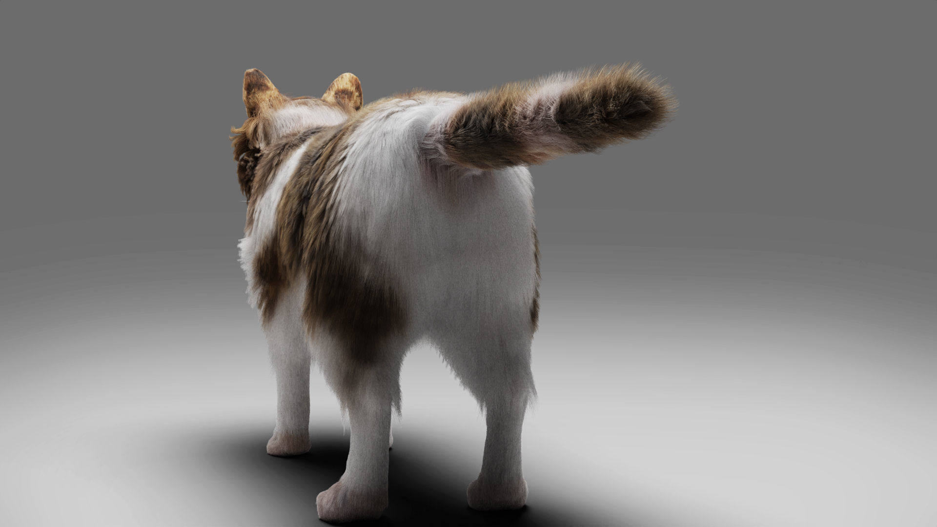 Fur Calico Cat V03 No Rigged Low-poly 3D model_4