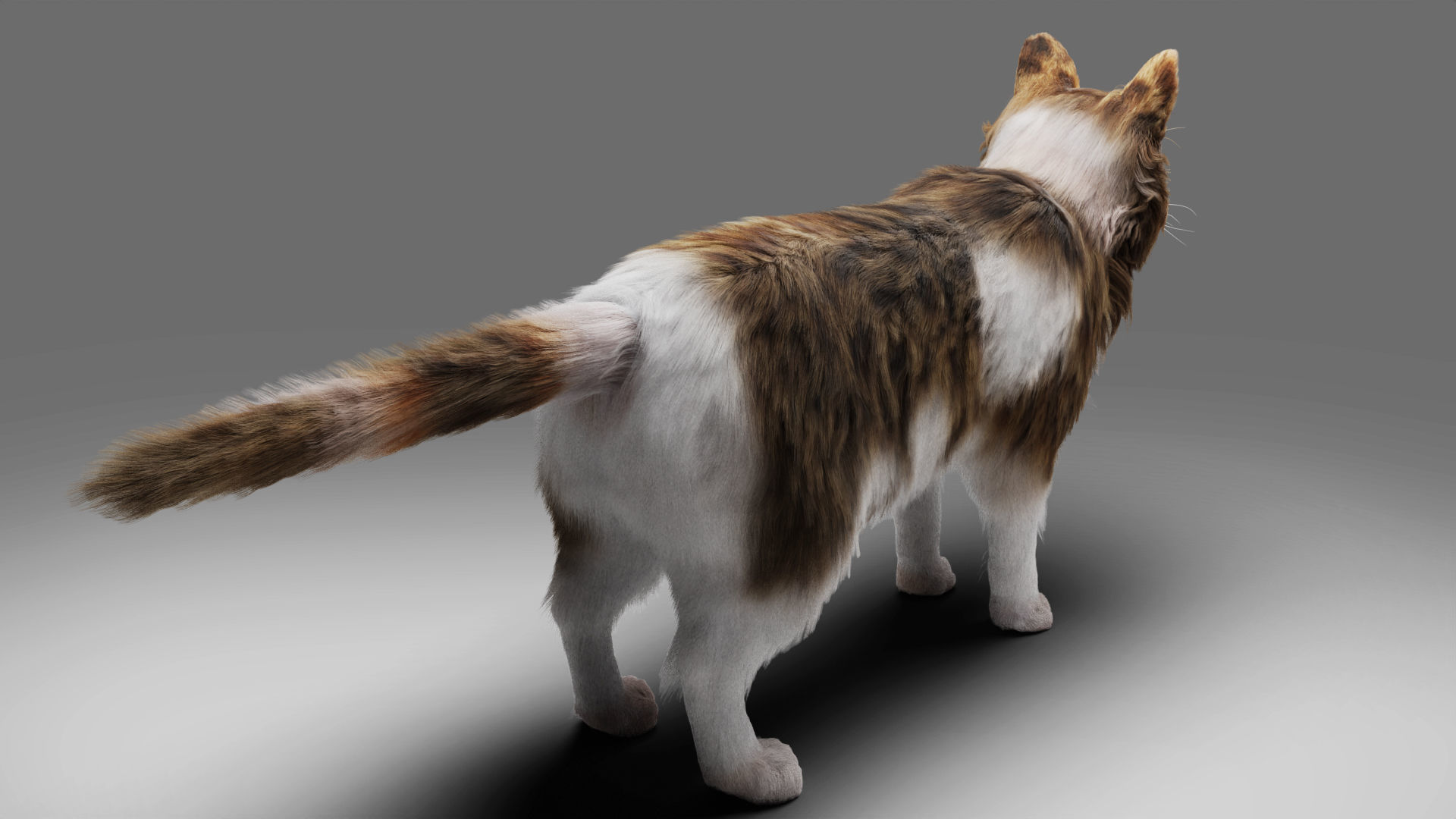 Fur Calico Cat V03 No Rigged Low-poly 3D model_2