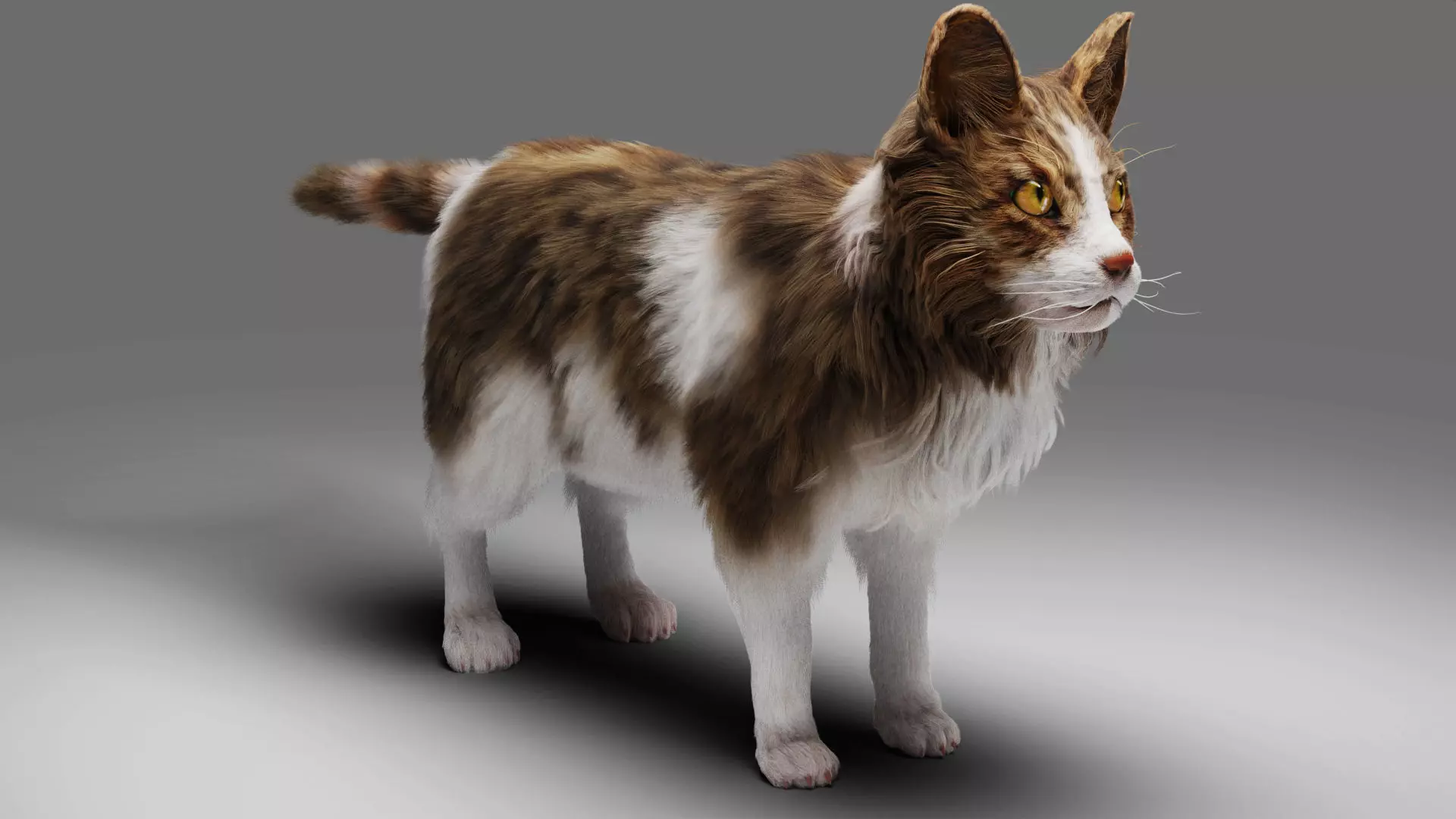 Fur Calico Cat V03 No Rigged Low-poly 3D model_0