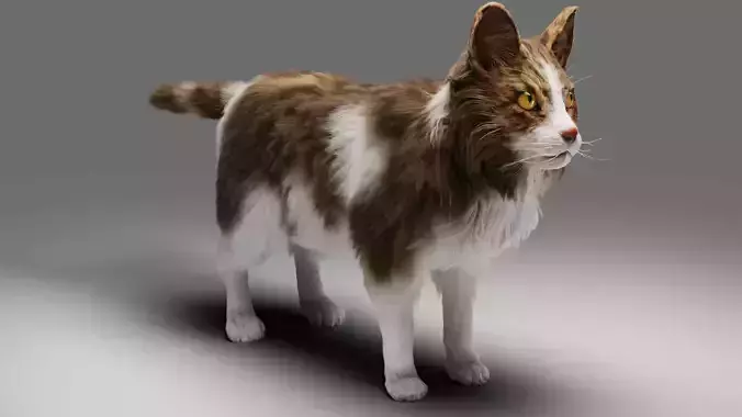 Fur Calico Cat V03 No Rigged