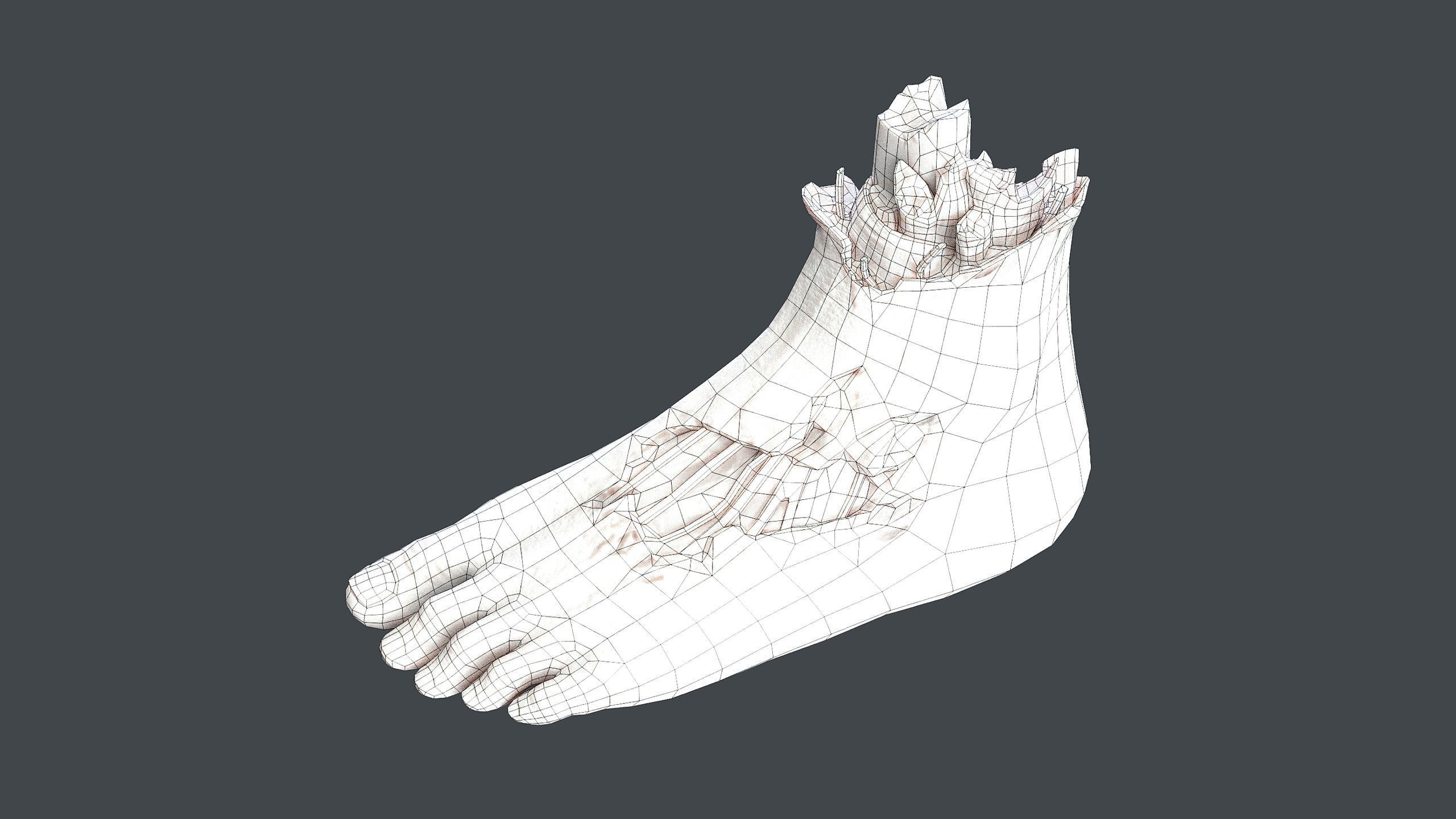 Severed Foot Low-poly 3D model_11