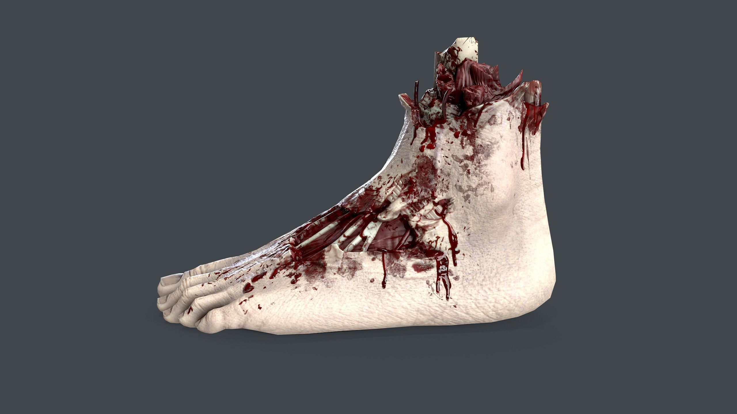 Severed Foot Low-poly 3D model_2