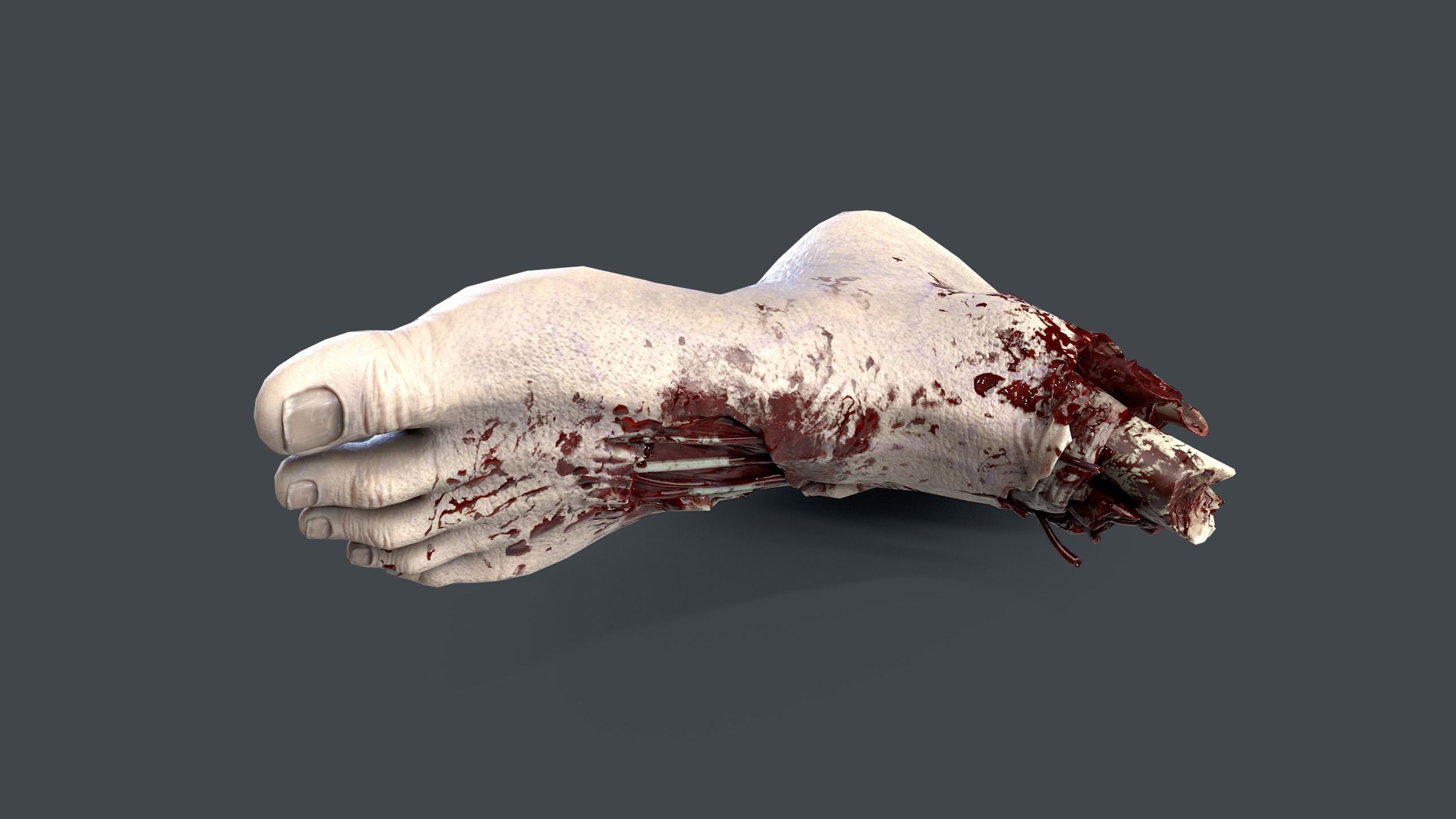 Severed Foot Low-poly 3D model_9