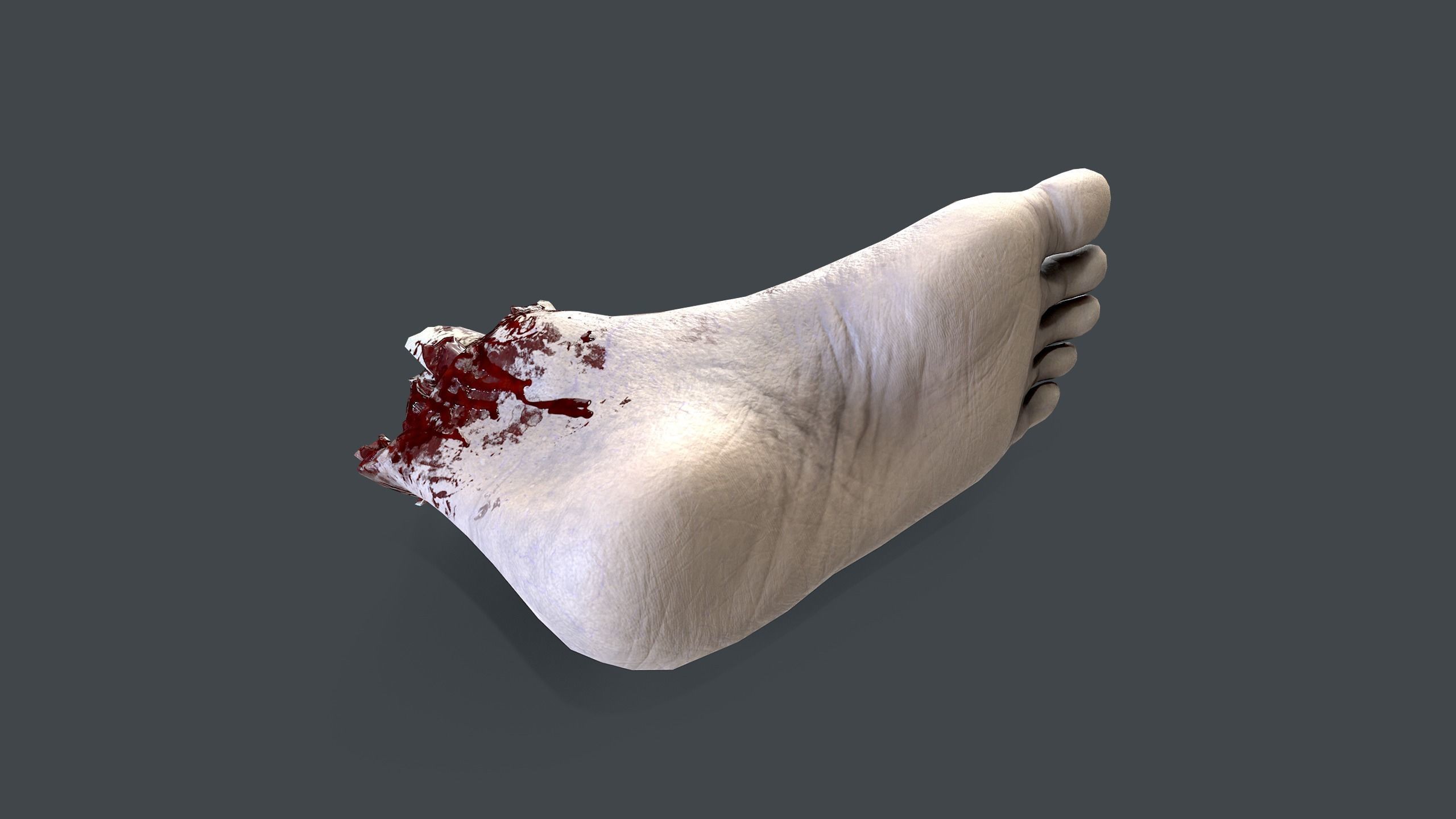 Severed Foot Low-poly 3D model_8