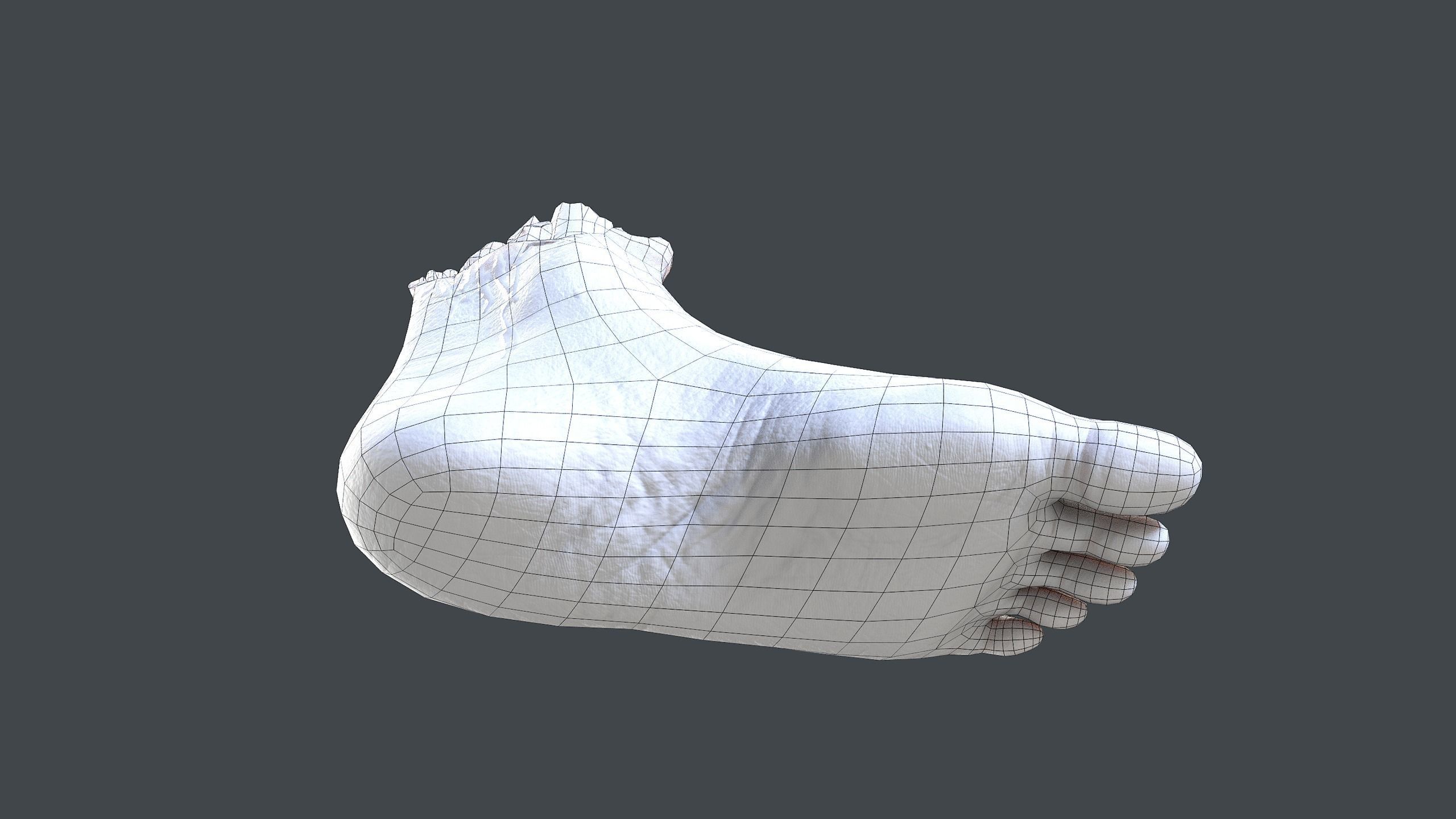 Severed Foot Low-poly 3D model_13