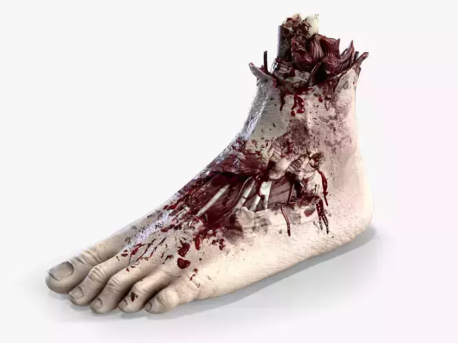 Severed Foot Low-poly 3D model