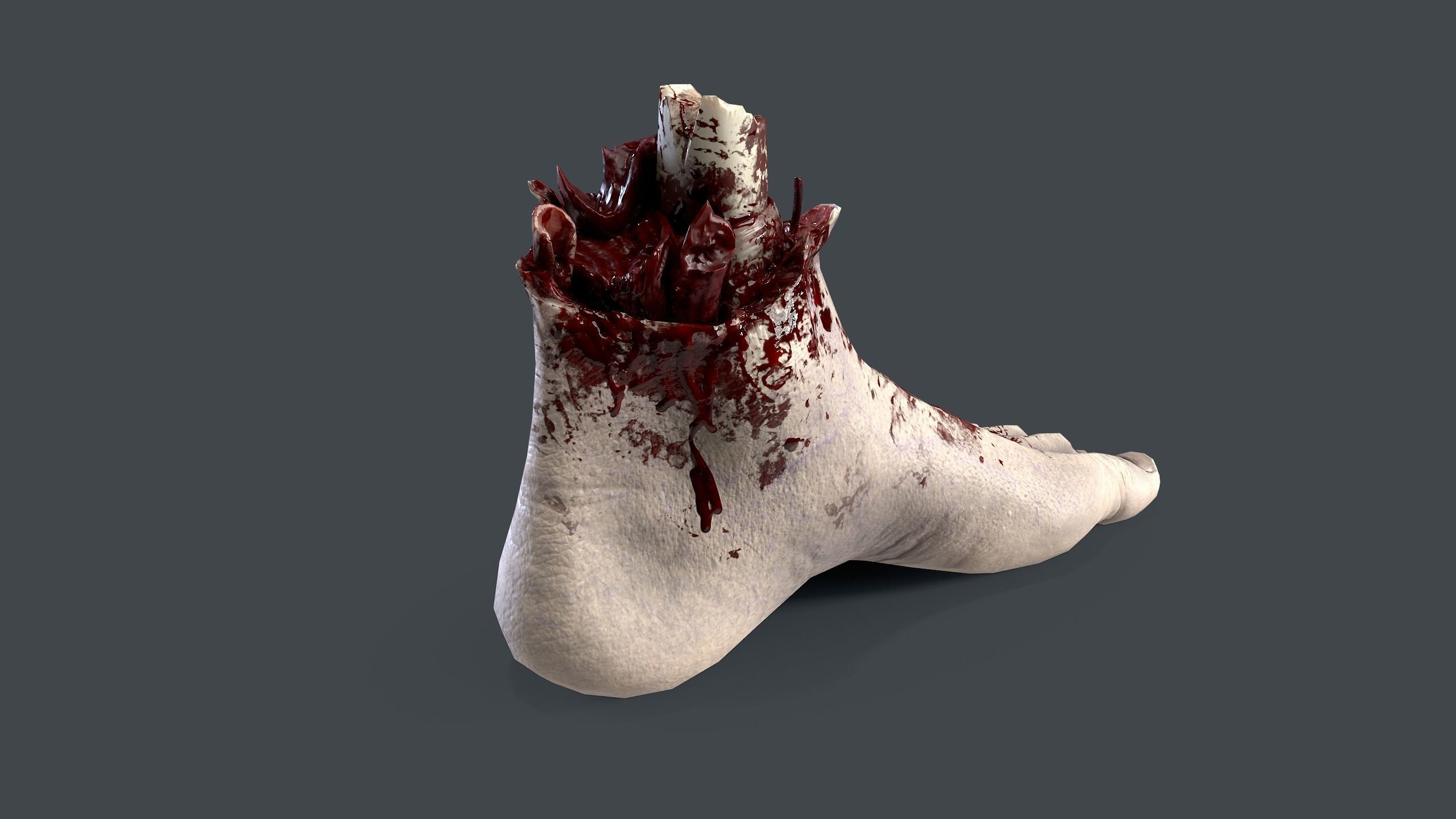Severed Foot Low-poly 3D model_4