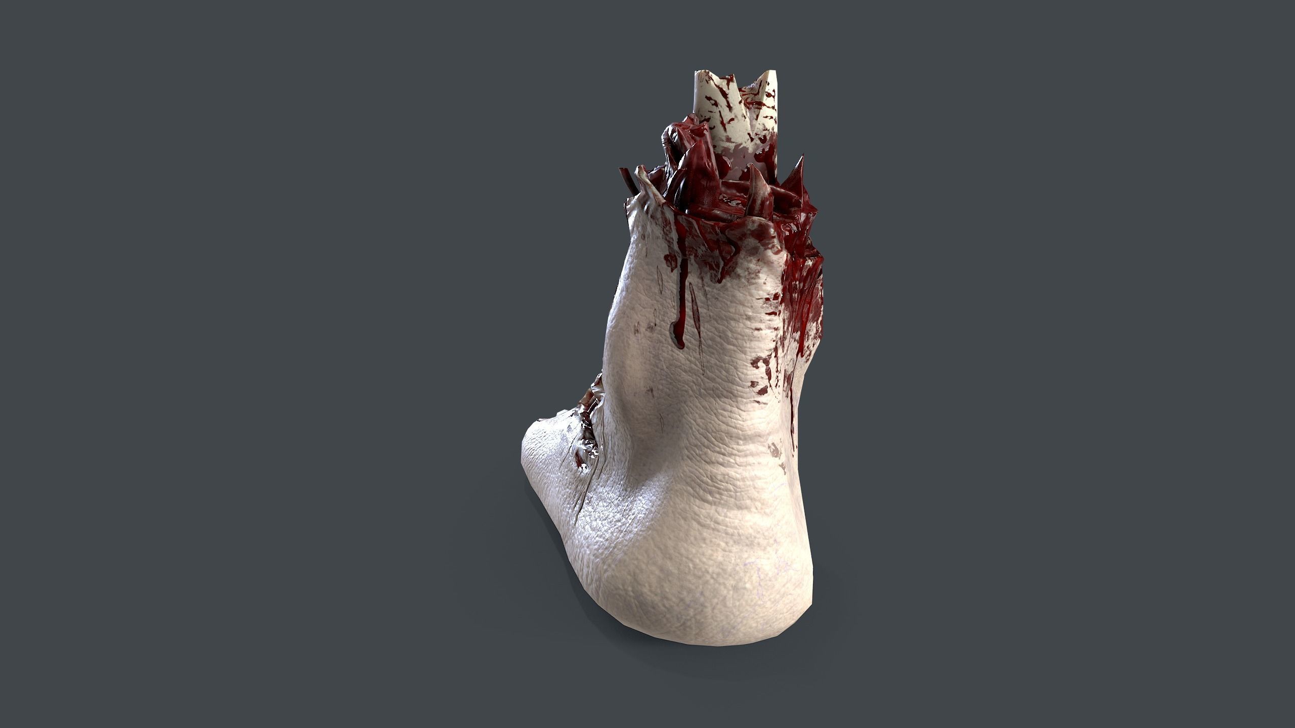 Severed Foot Low-poly 3D model_5