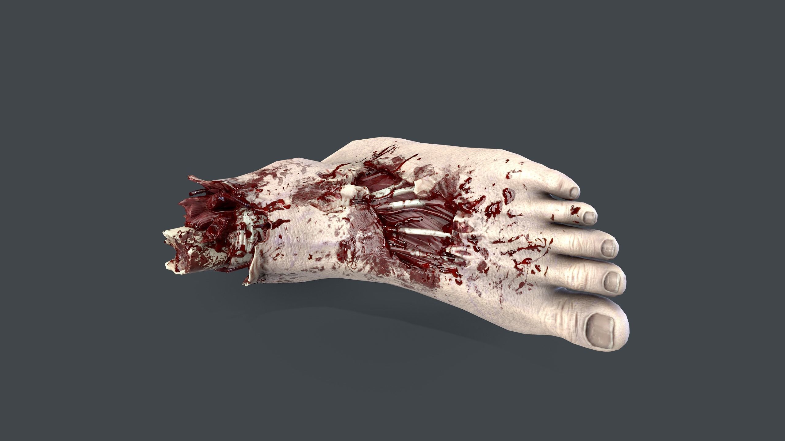 Severed Foot Low-poly 3D model_7