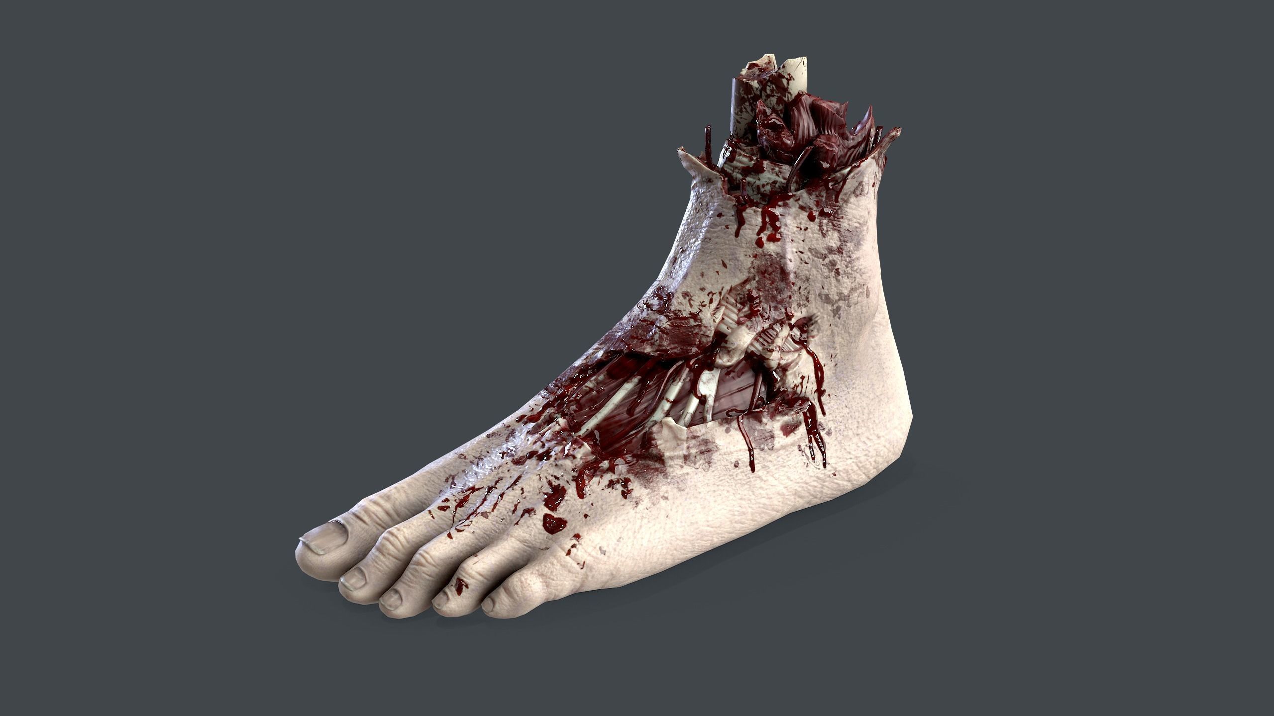 Severed Foot Low-poly 3D model_1