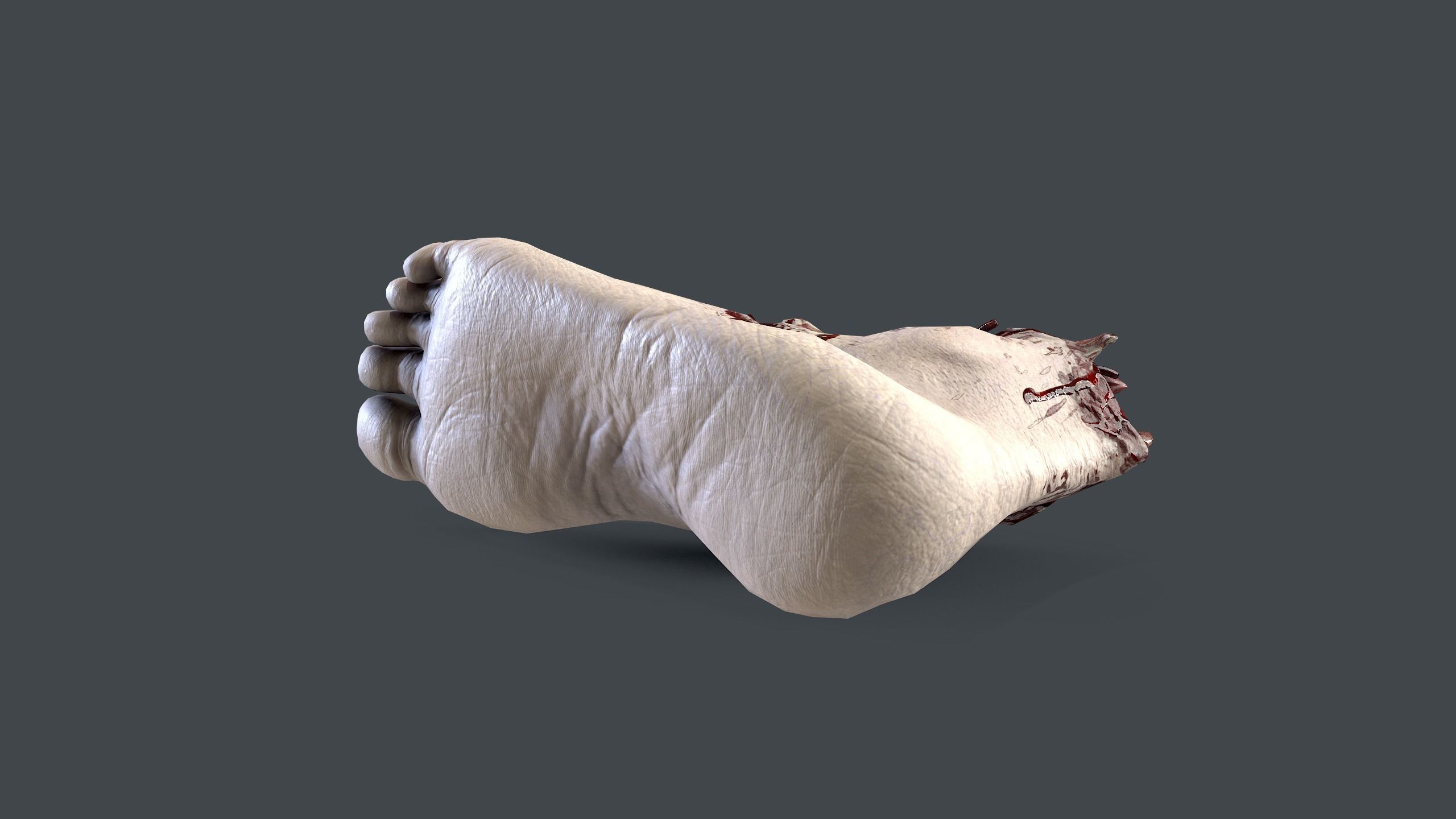 Severed Foot Low-poly 3D model_6